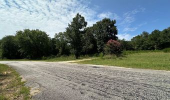 177 155 Pebble Cove Rd, Abbeville, AL 36310