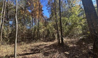 5151 Nash Rd, Batesville, MS 38606