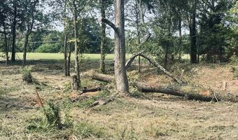 LOT 6 Leach Woods East CR 1560, Alba, TX 75410