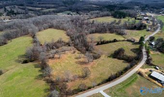 17 Acres County Road 656, Anderson, AL 35610