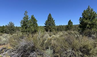 Bufflehead Drive 18, Bonanza, OR 97623