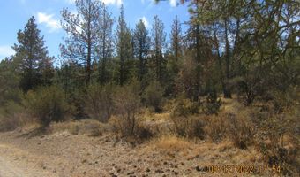 Tiger Lane lot 2, Bonanza, OR 97623