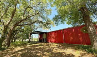 6491 Wolf Pond Rd, Bascom, FL 32423