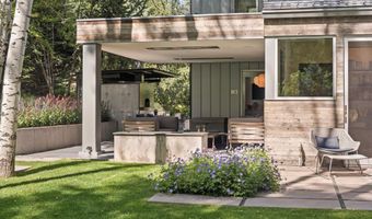 1180 Black Birch Dr, Aspen, CO 81611