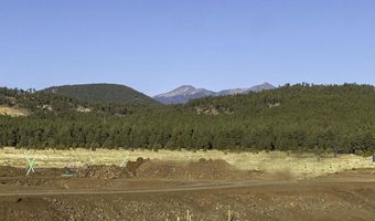 12189 BLISS Ave, Bellemont, AZ 86015