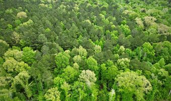 Highway 162, Benton, LA 71006