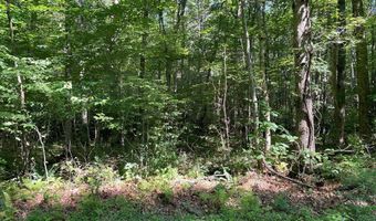 3 Clear Fork Creek Rd 31, Bastian, VA 24314