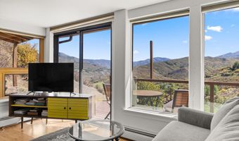 83 Sagebrush Ln, Aspen, CO 81611