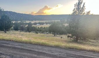 639 Pheasant Dr, Alturas, CA 96101