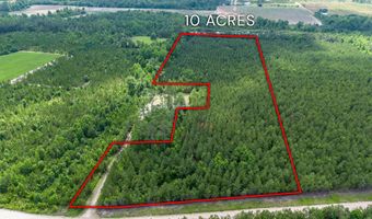 Tract 15 Sanderling, Alma, GA 31510