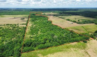 Pine Prairie Rd, Ashdown, AR 71822