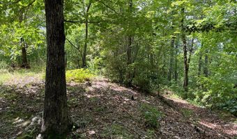 21 Collett Woods Trl Lot #21, Andrews, NC 28901