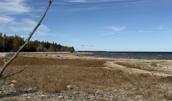 9415 Wreck Rd, Alpena, MI 49707