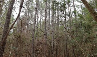 TBD Hwy. 29, Brooklyn, MS 39425