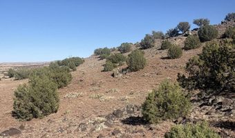 478 N8521, Concho, AZ 85924