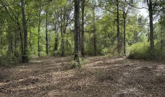 1311 A N Jackson St, Brookhaven, MS 39601