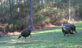 259 Forest Lake Rd, Beaumont, MS 39423