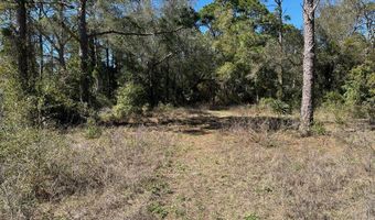 249 15th St, Apalachicola, FL 32320