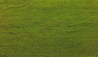 1037 Cr 300, Big Creek, MS 38914