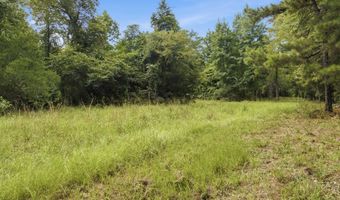 115355 115353 CR 2501, Alto, TX 75925