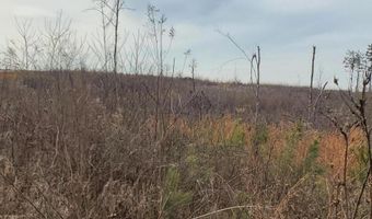 85 6+/- Acres County Road 2291, Booneville, MS 38829