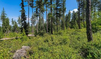 246 Trading Post Trl, Bigfork, MT 59911