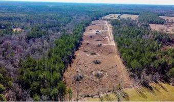 1 Mixon Rd, Amite, LA 70422