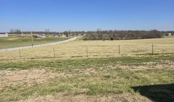 23594 Lawrence 1200, Aurora, MO 65605