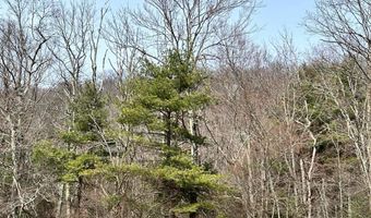 385 ELK CREEK Rd, Aaronsburg, PA 16820