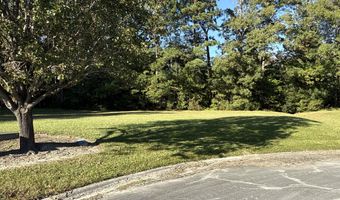 338 Southern Way Lot 61 W/ Boat Slip #3, Arapahoe, NC 28510
