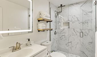 1020 E Durant Ave 203, Aspen, CO 81611