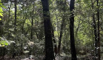 0 CR 4236, De Kalb, TX 75559