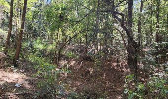 3170 Co Rd 53, Abbeville, AL 36319