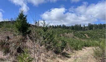 Northrup Creek Rd, Birkenfeld, OR 97016