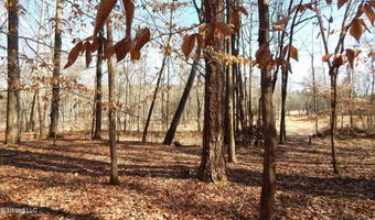 590 247 Country Rd, Bruce, MS 38915