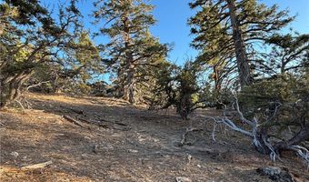 Ironwood, Angelus Oaks, CA 92305