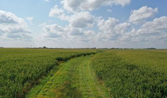 Marsh Avenue, Allison, IA 50602