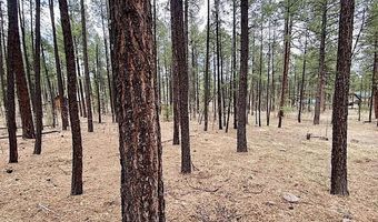11 County Road 2135, Alpine, AZ 85920