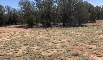 00 Off Of Rainy Rd, Ash Fork, AZ 86320