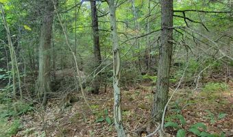 B-2BackLot Pioneer Path, Aurora, ME 04605