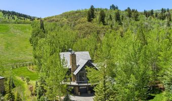 15 S Willow Ct, Aspen, CO 81611