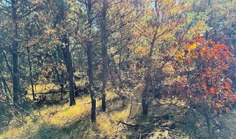 10 Acres County Road C, Arkdale, WI 54613