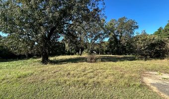 20 Ac State Hwy 95 Columbia Rd, Abbeville, AL 36310