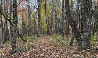 Tbd Rominger Road, Banner Elk, NC 28604