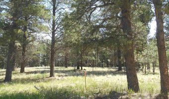 Lot 7 Horseshoe Bend, Angel Fire, NM 87710