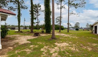 133 Lake Lure Cir, Alma, GA 31510