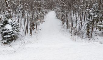 7438 AFTON Rd, Afton, MI 49705