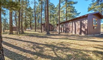 25327 Coronado Trl, Alpine, AZ 85920