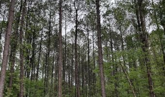 U.S. 49, Brooklyn, MS 39425