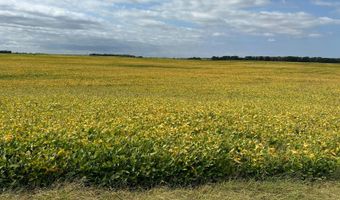 153 Acres Rock County, Bassett, NE 68714